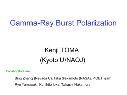 GRB polarization