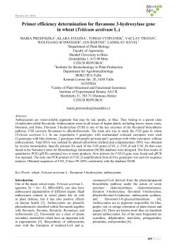 Primer efficiency determination for flavanone 3