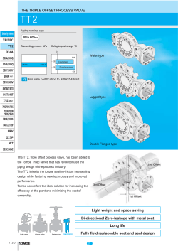 THE TRIPLE OFFSET PROCESS VALVE FS Light weight and space