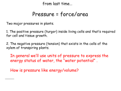 How much energy to transport a mole of C?