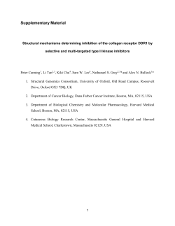 Supplementary Material Structural mechanisms determining