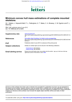 skeletons Minimum convex hull mass estimations of complete
