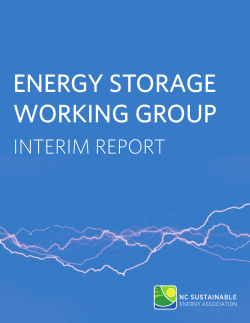 Energy Storage Working Group Interim Report