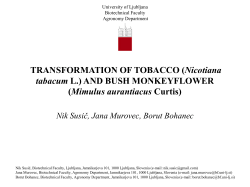 GENETIC TRANSFORMATION OF TOBACCO (Nicotiana tabacum L