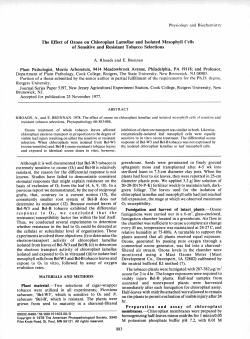 The Effect of Ozone on Chloroplast Lamellae and Isolated