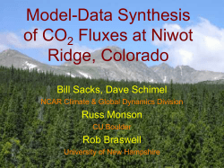 Model-Data Synthesis of CO2 Fluxes at Niwot Ridge