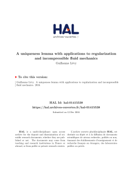 A uniqueness lemma with applications to regularization and
