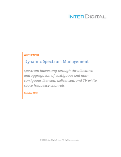 Dynamic Spectrum Management