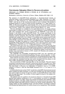 Poly(Adenosine Diphosphate Ribose) in Physarum polycephalum