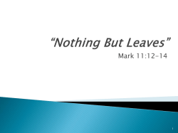 Nothing But Leaves - Fifth Street East Church of Christ Home Page