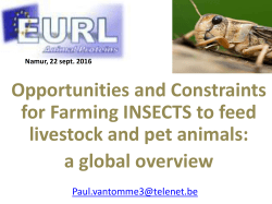 Opportunities and Constraints for Farming INSECTS to feed