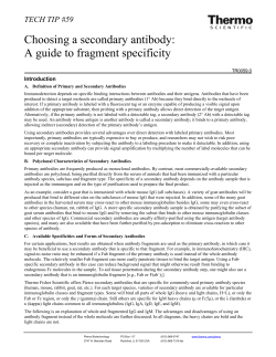 Choosing a secondary antibody