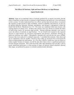 Angela Dombrowski Algal Growth and Environmental Effects 19