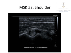 MSK #2: Shoulder