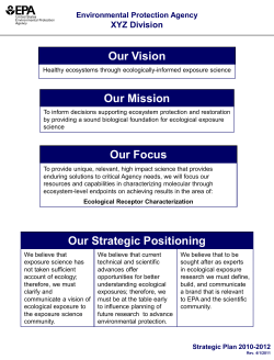 sample-strategy-layout-government