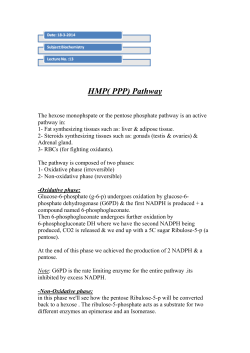HMP( PPP) Pathway The hexose monophspate or the pentose