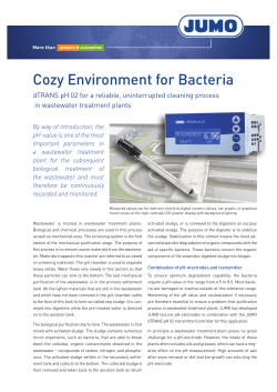 Cozy Environment for Bacteria