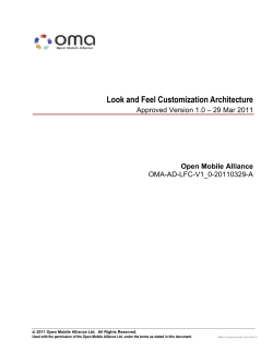 Look and Feel Customization Architecture