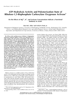 ATP Hydrolysis Activity and Polymerization State of Ri bu lose-l,5
