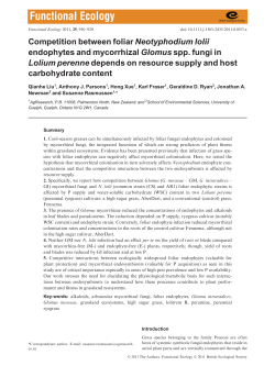 Competition between foliar Neotyphodium lolii endophytes and