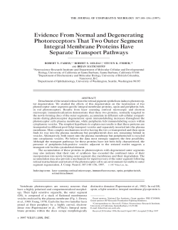 Evidence from normal and degenerating photoreceptors that two