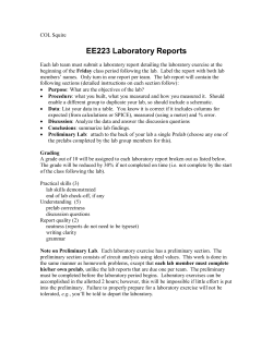 Preliminary Lab