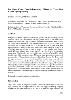 13. Do Algae Cause Growth-Promoting Effects on Vegetables