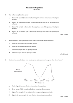 Quiz on Photosynthesis - Peoria Public Schools