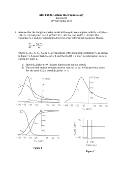 Cellular electrophysiology exercise 8