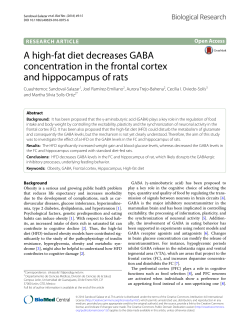 A high-fat diet decreases GABA concentration in the frontal