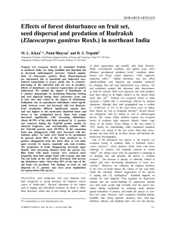 Effects of forest disturbance on fruit set, seed dispersal and