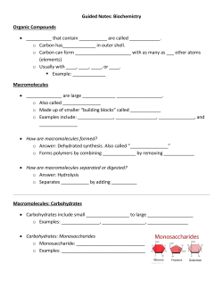 Guided Notes - King`s Science Page