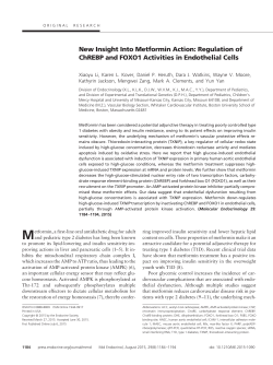 New Insight Into Metformin Action: Regulation of ChREBP and