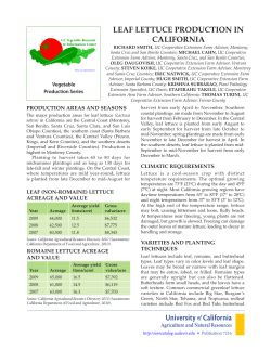 Leaf Lettuce Production in California - UC IPM