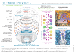 THE CONSCIOUS EXPERIENCE MAP V.3