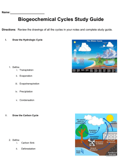 Name: Biogeochemical Cycles Study Guide Directions