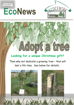 First choose your tree