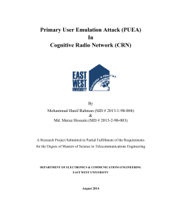 Primary User Emulation Attack (PUEA)