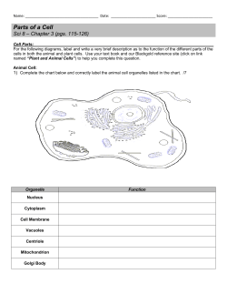 Chapter 3 Questions_7