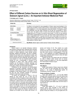 Effect of Different Carbon Sources on In Vitro Shoot