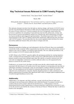 Key Technical Issues Relevant to CDM Forestry