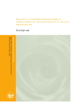 Expression of candidate dengue antigens in tobacco plants for
