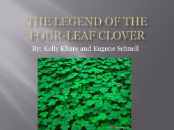 The Legend of the Four