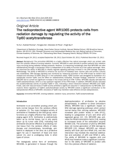 Original Article The radioprotective agent WR1065 protects cells