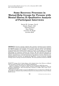 Qualitative Analysis of Participant Interview
