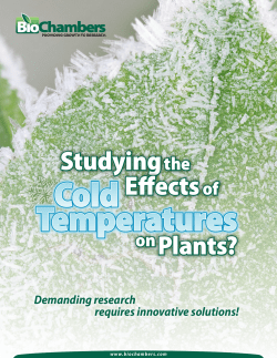Read this PDF