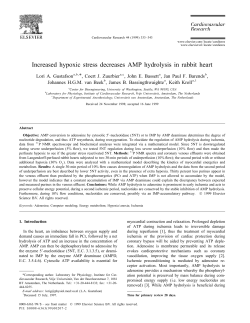Increased hypoxic stress decreases AMP hydrolysis in rabbit heart