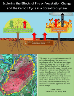 Mapping Forest Fire Severity to Predict Vegetation Change and