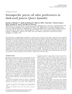 Intraspecific preen oil odor preferences in dark