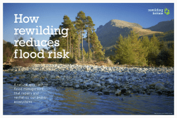 A natural approach to flood management that